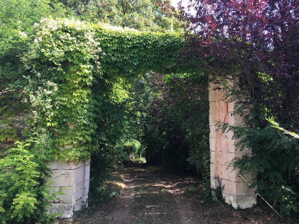 Les Terrasses De Chaumont 1 Daire Montsoreau Dış mekan fotoğraf